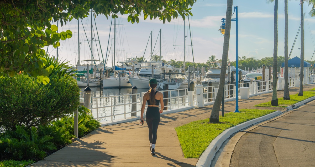 The Coconut Grove marina walkway lined with palms and sailboats moored at Dinner Key