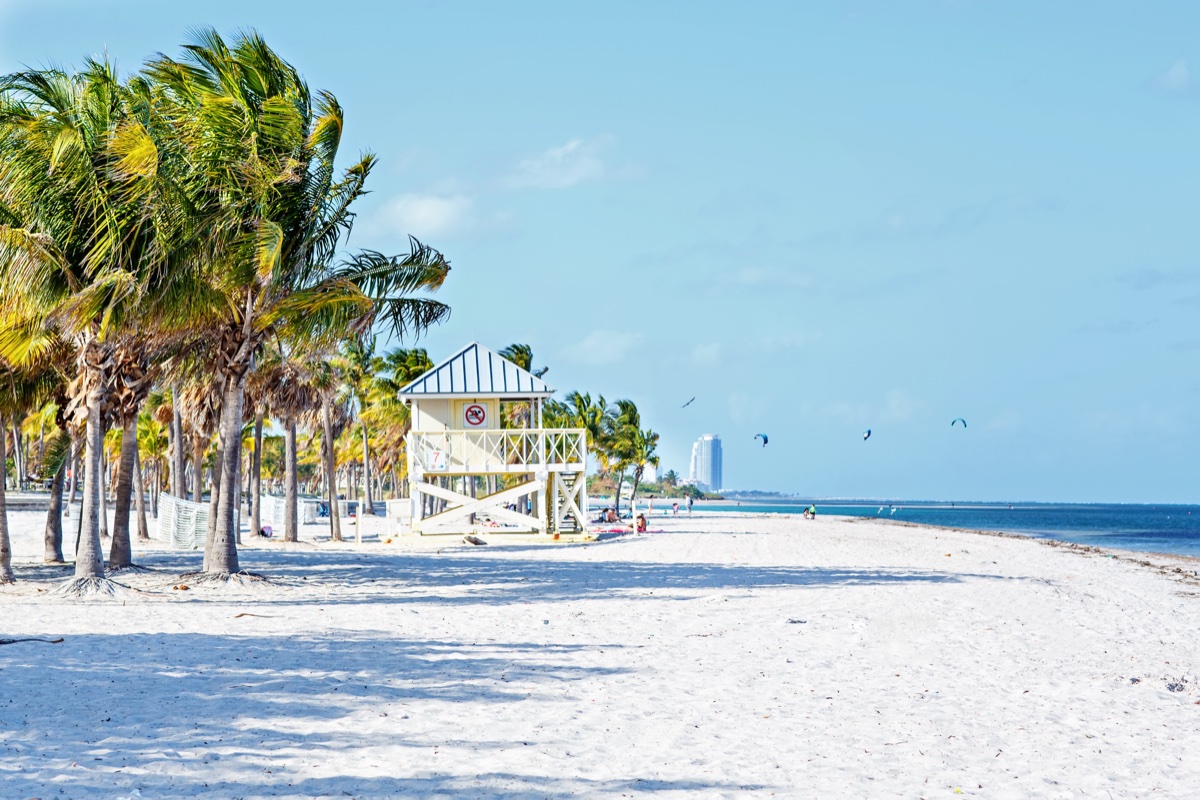 Crandon Park beach on Key Biscayne with palms, a lifeguard tower, and kitesurfers in the distance