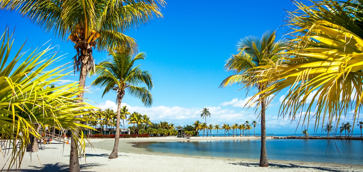 The Matheson Hammock atoll pool with palm trees on the bay, just north of Pinecrest